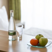 Hotel-Aviva-Karlsruhe-Einzelzimmer-Apfel